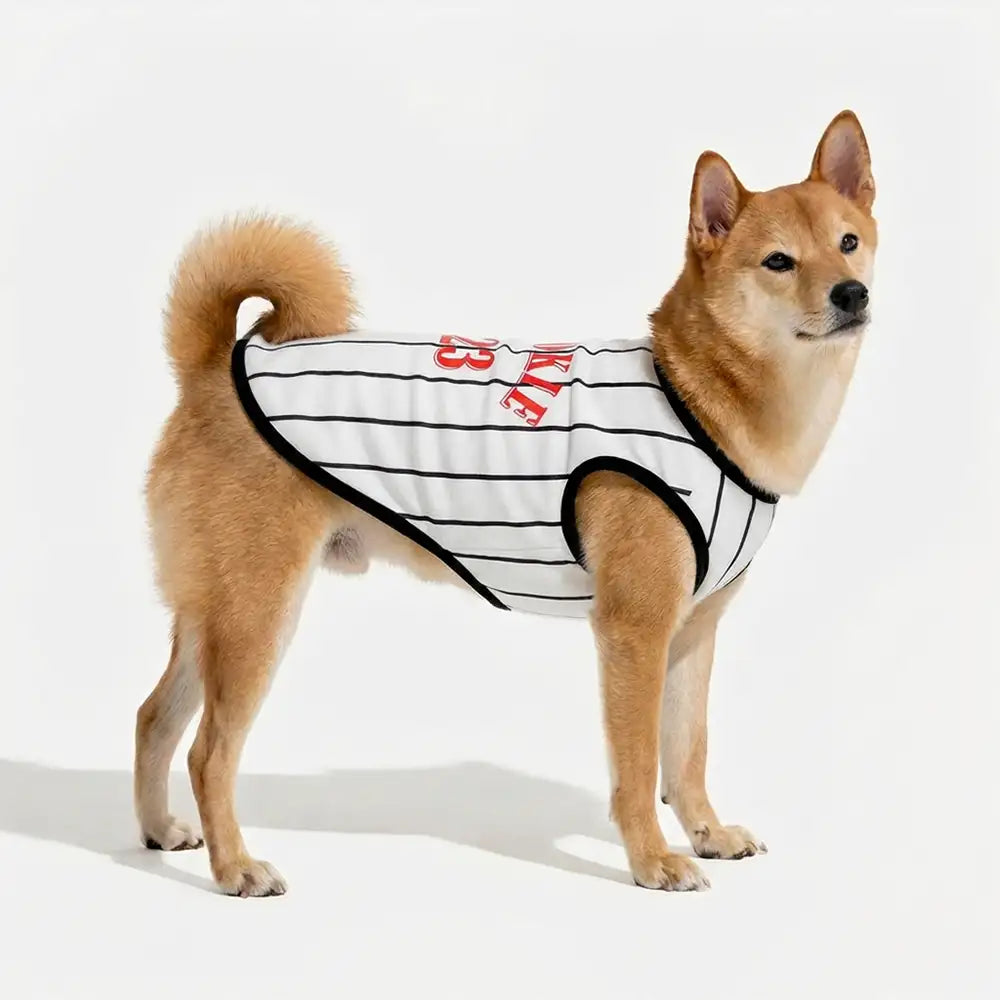 Gilet respirant style sportif pour chiot