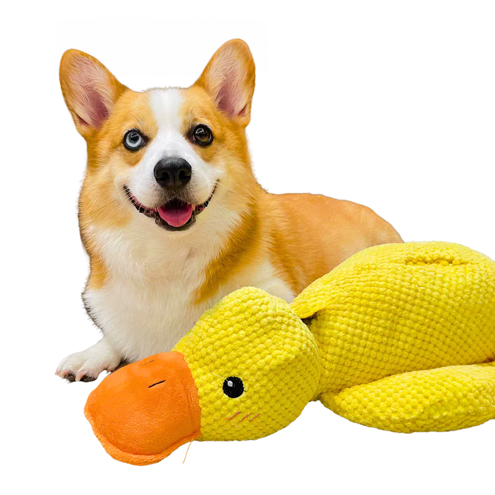 Calming Plush Duck Toy for Dogs – Durable & Squeaky