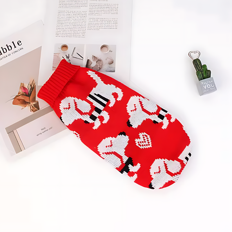 Pull Pour Animaux de Compagnie