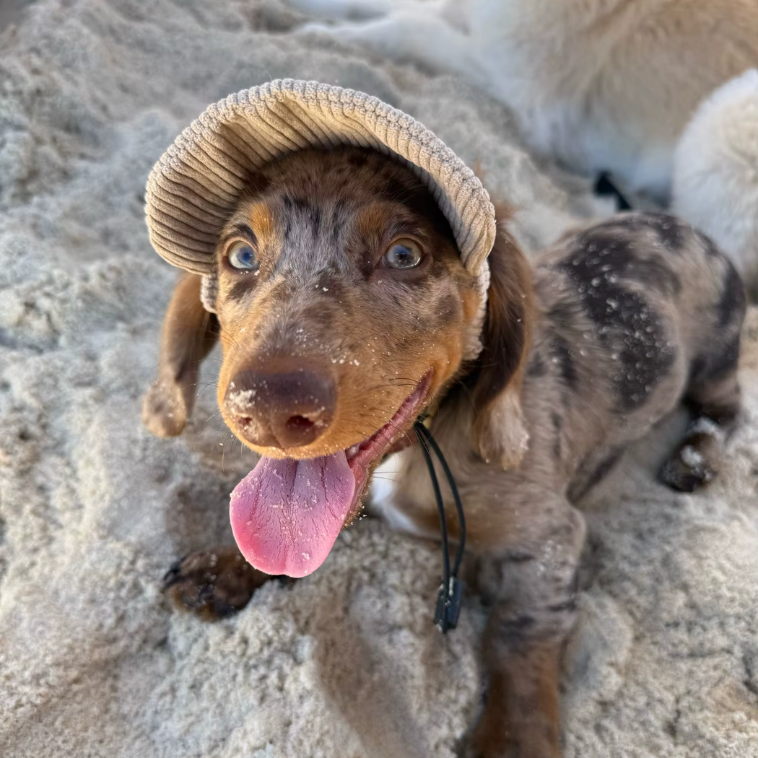 Chapeau de soleil
