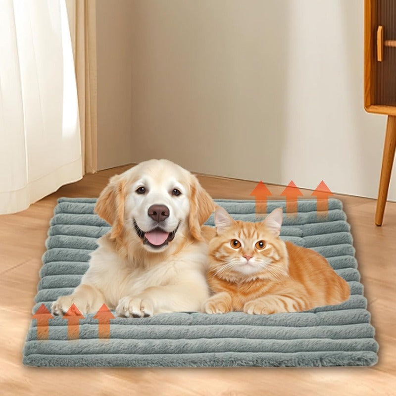 Lit auto-chauffant pour animaux de compagnie