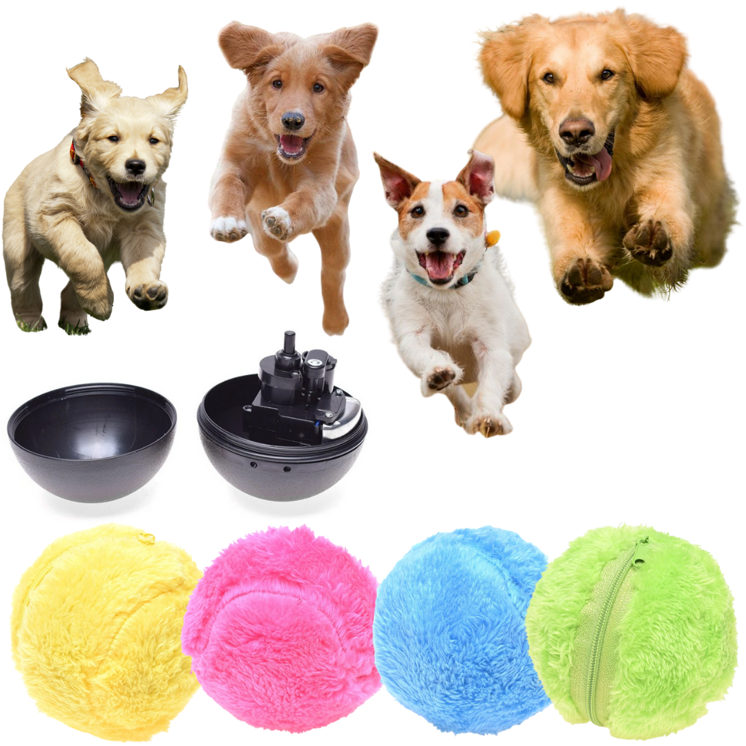 Balle roulante active (4 couleurs incluses)