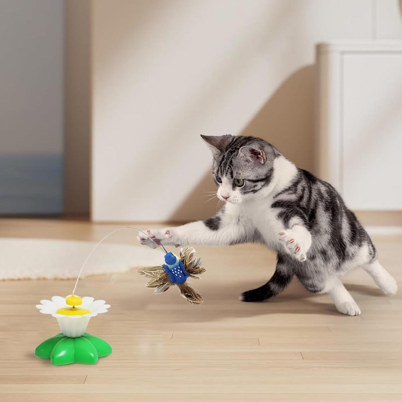 Jouet Teaser Automatique pour Chat