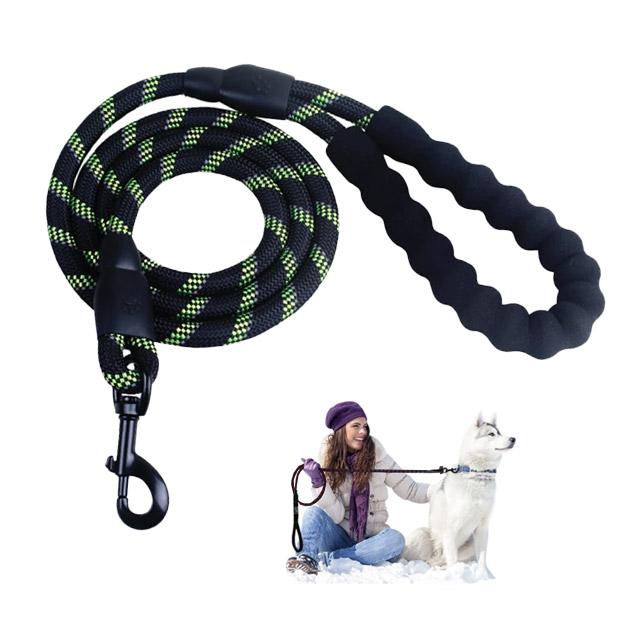 Laisse pour chien solide et réfléchissante