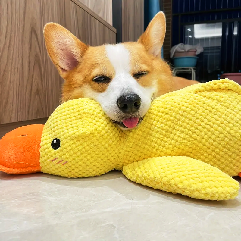 Jouet en peluche apaisant canard pour chiens – Résistant et couineur