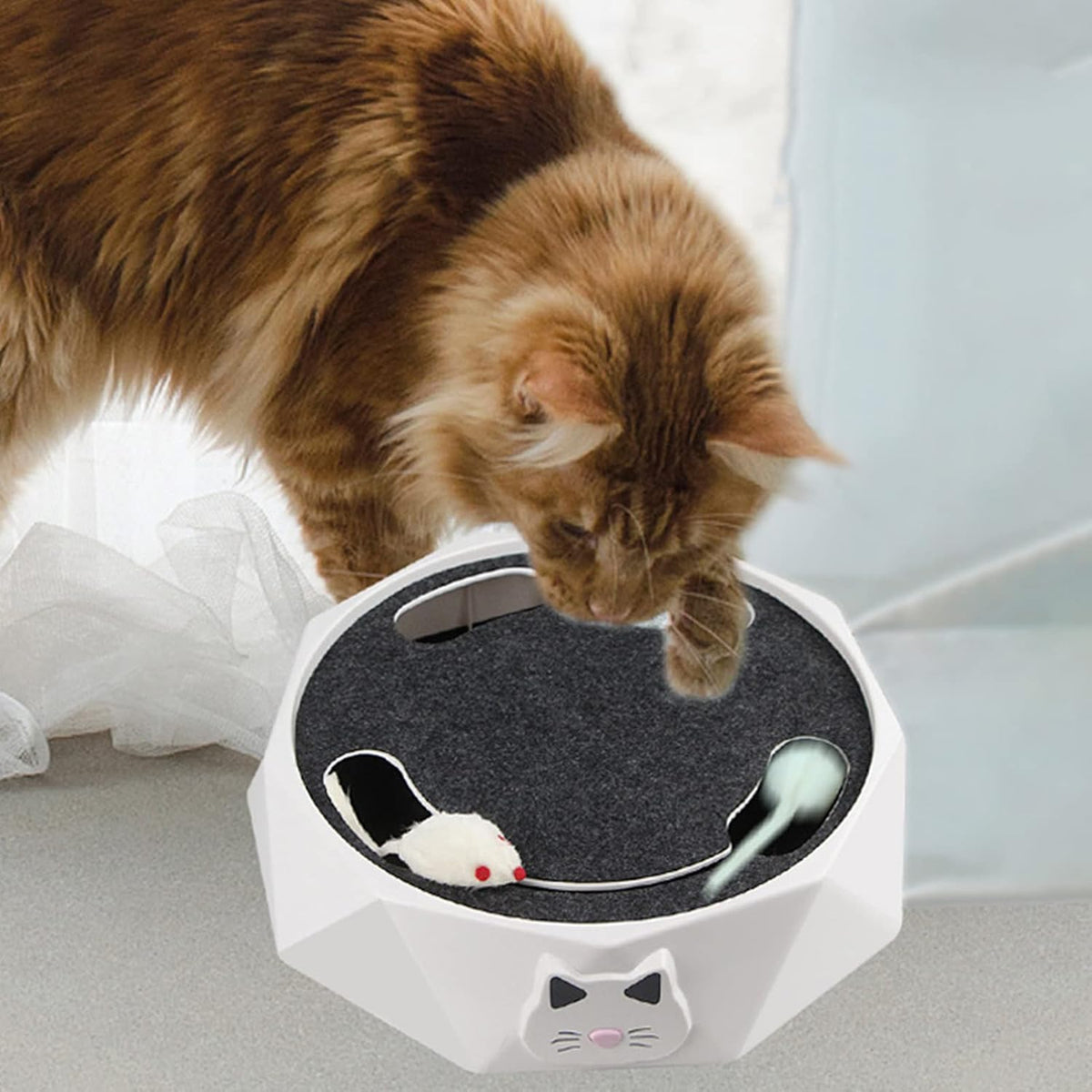 Interactive Cat Turntable Toy