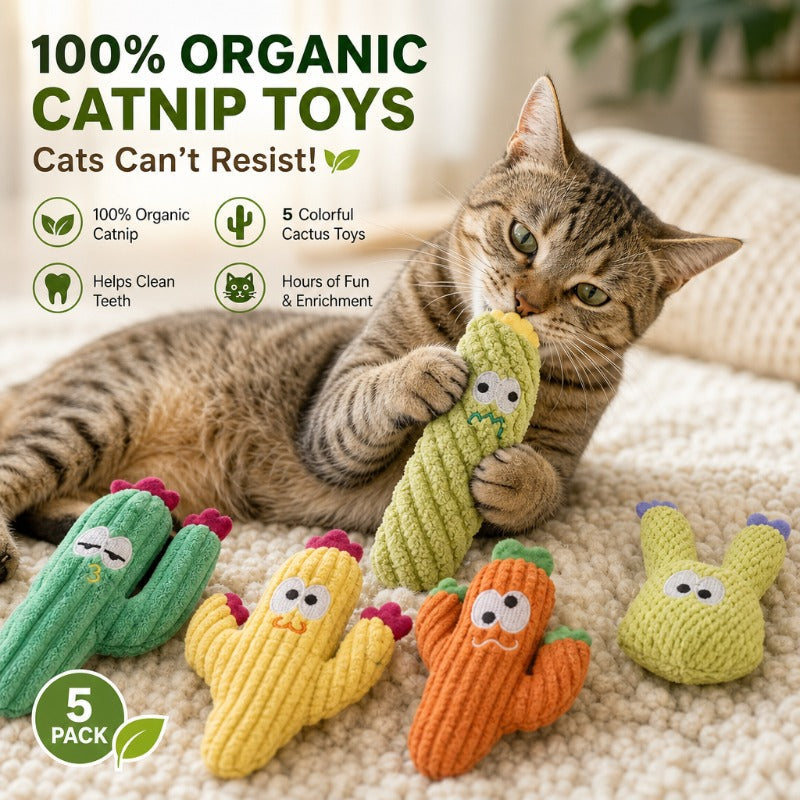 Jouets pour chats en forme de cactus à l'herbe à chat biologique