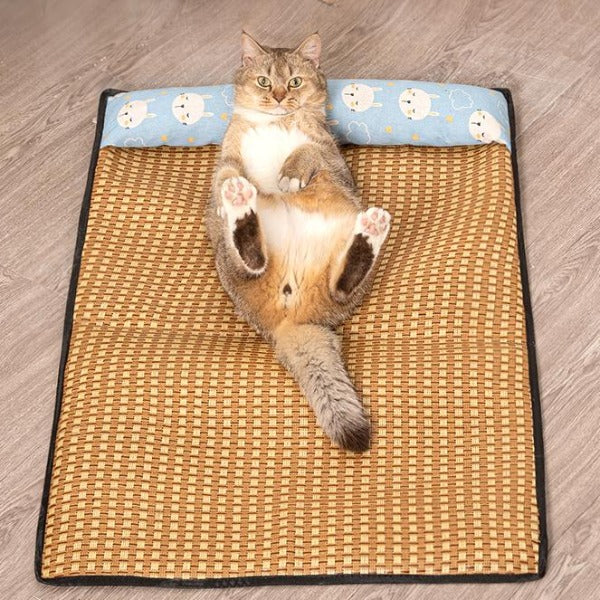 Tapis Rafraîchissant Respirant pour Chats et Chiens