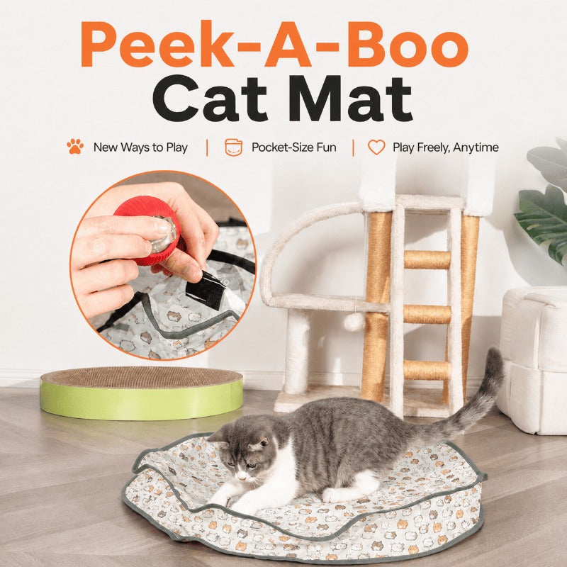 Tapis de chasse automatique pour chat