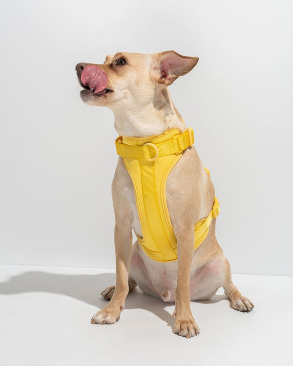 Comfort Pet Harness