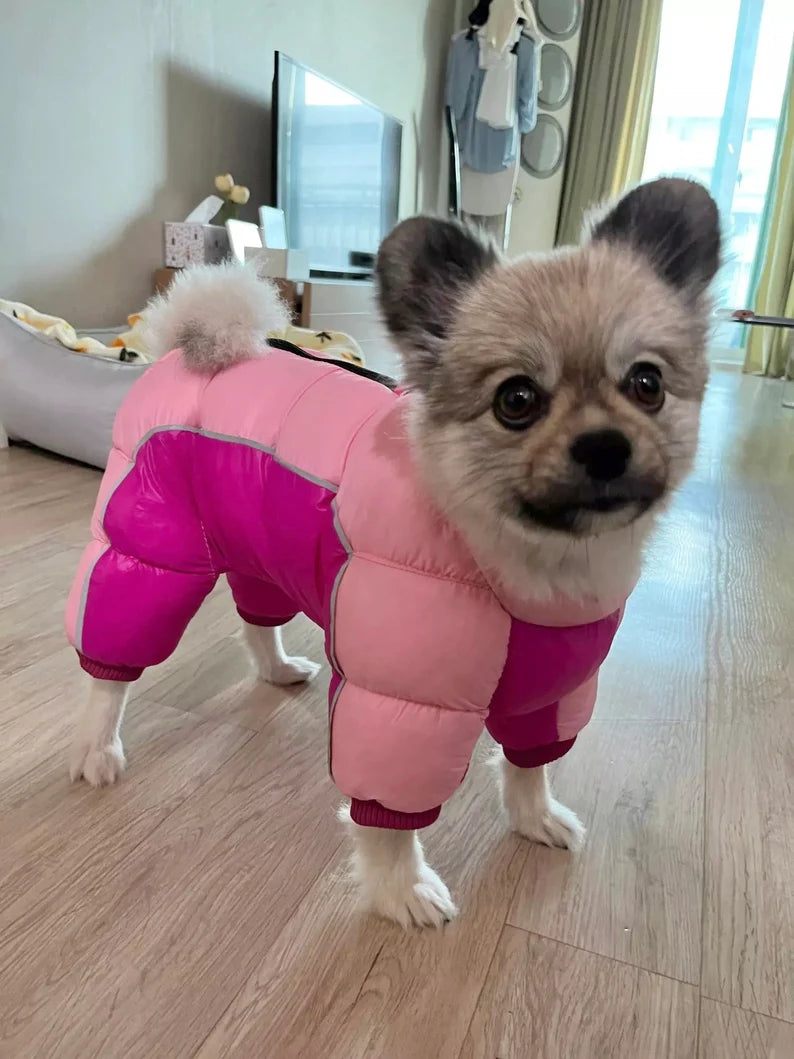 Manteau d'hiver à quatre pattes pour chiot Teddy