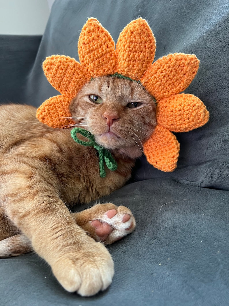 Chapeau de chat tournesol