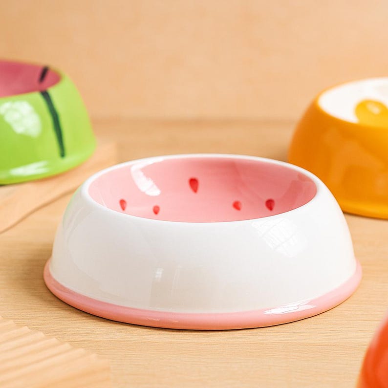 Jolie gamelle en céramique pour animaux de compagnie – Motif fruits