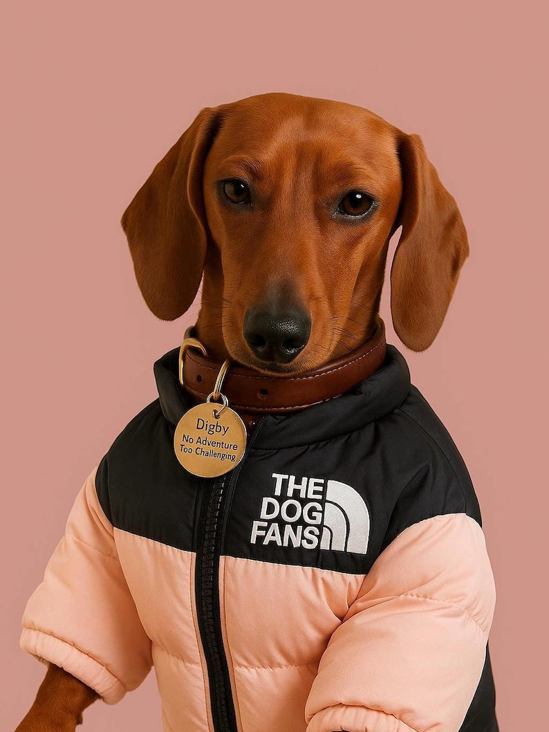 Doudoune chaude pour chien – Manteau d'hiver pour petits et grands chiens