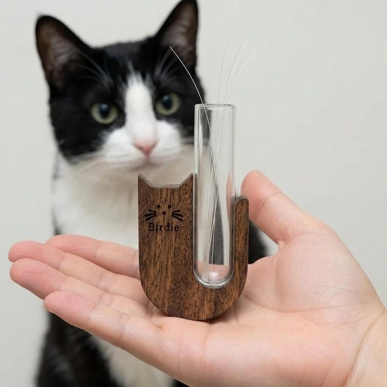 Support magnétique personnalisé en bois pour moustaches de chat
