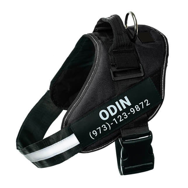 Black no-pull dog harness with reflective strips – adjustable and comfortable fit.