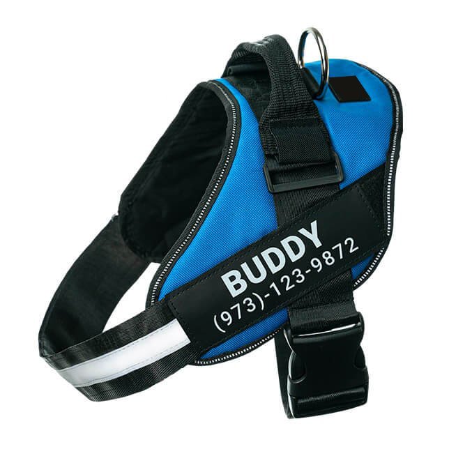 Blue no-pull dog harness with reflective strips – adjustable and comfortable fit.