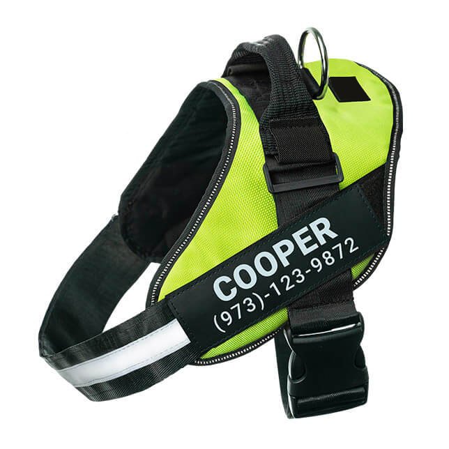 Green no-pull dog harness with reflective strips – adjustable and comfortable fit.