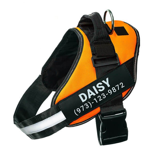 Orange no-pull dog harness with reflective strips – adjustable and comfortable fit.