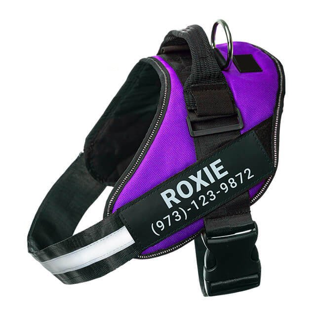 Purple no-pull dog harness with reflective strips – adjustable and comfortable fit.