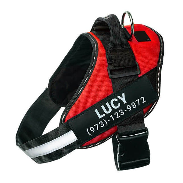 Red no-pull dog harness with reflective strips – adjustable and comfortable fit.