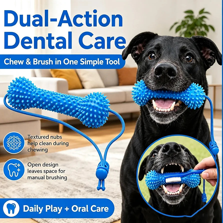 Jouet à mâcher pour le nettoyage des dents de chien