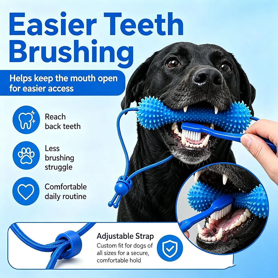 Jouet à mâcher pour le nettoyage des dents de chien