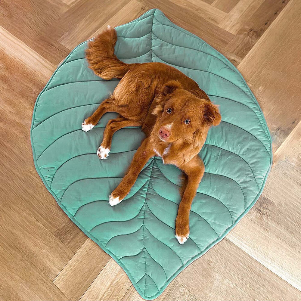 Couverture Douce en Forme de Feuille pour Animaux – Plaid Confortable pour Chiens et Chats