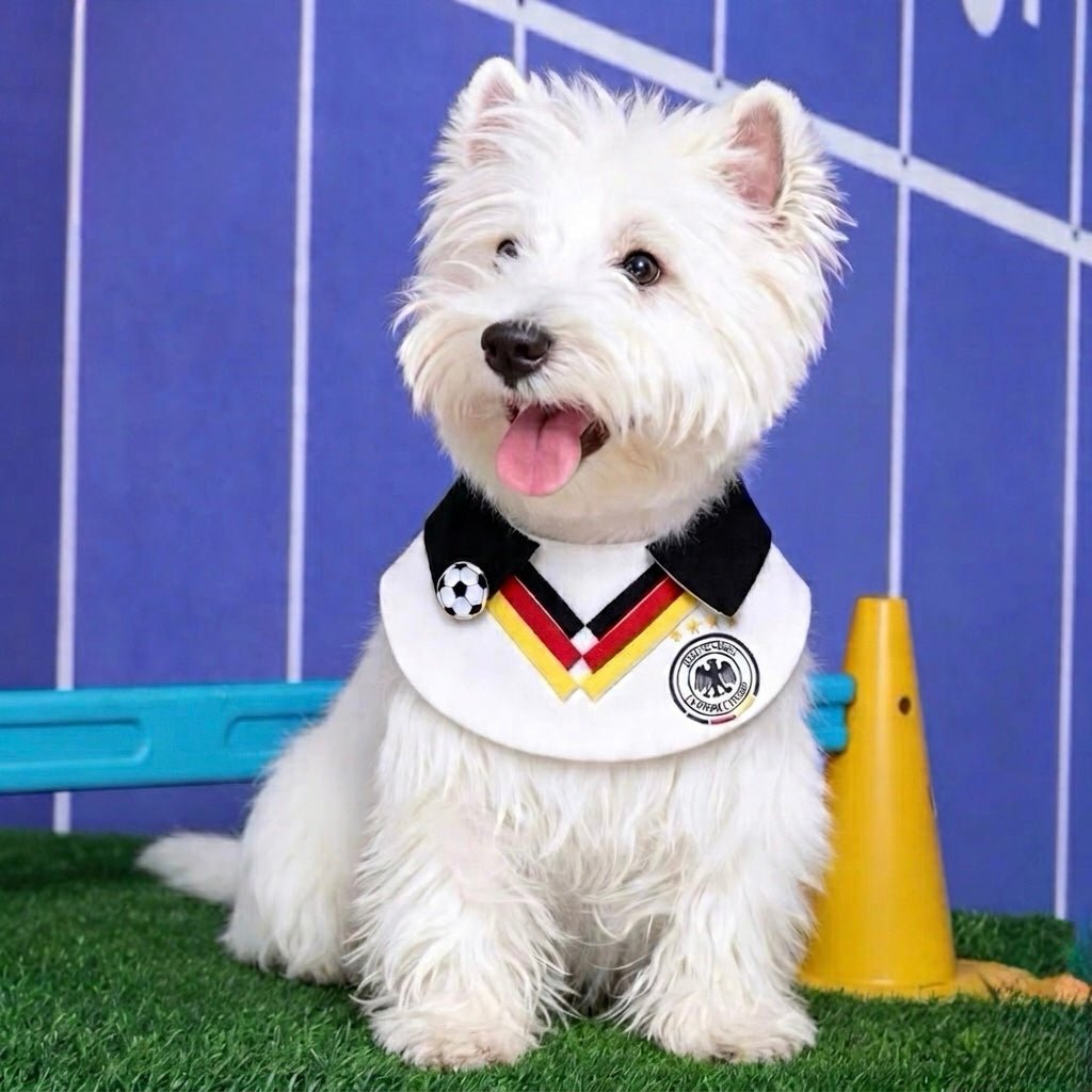 Bavoir pour animaux de compagnie « football mondial »