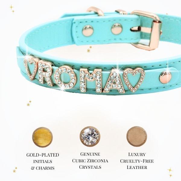 Le Collier Scintillant Personnalisé pour Animaux de Compagnie